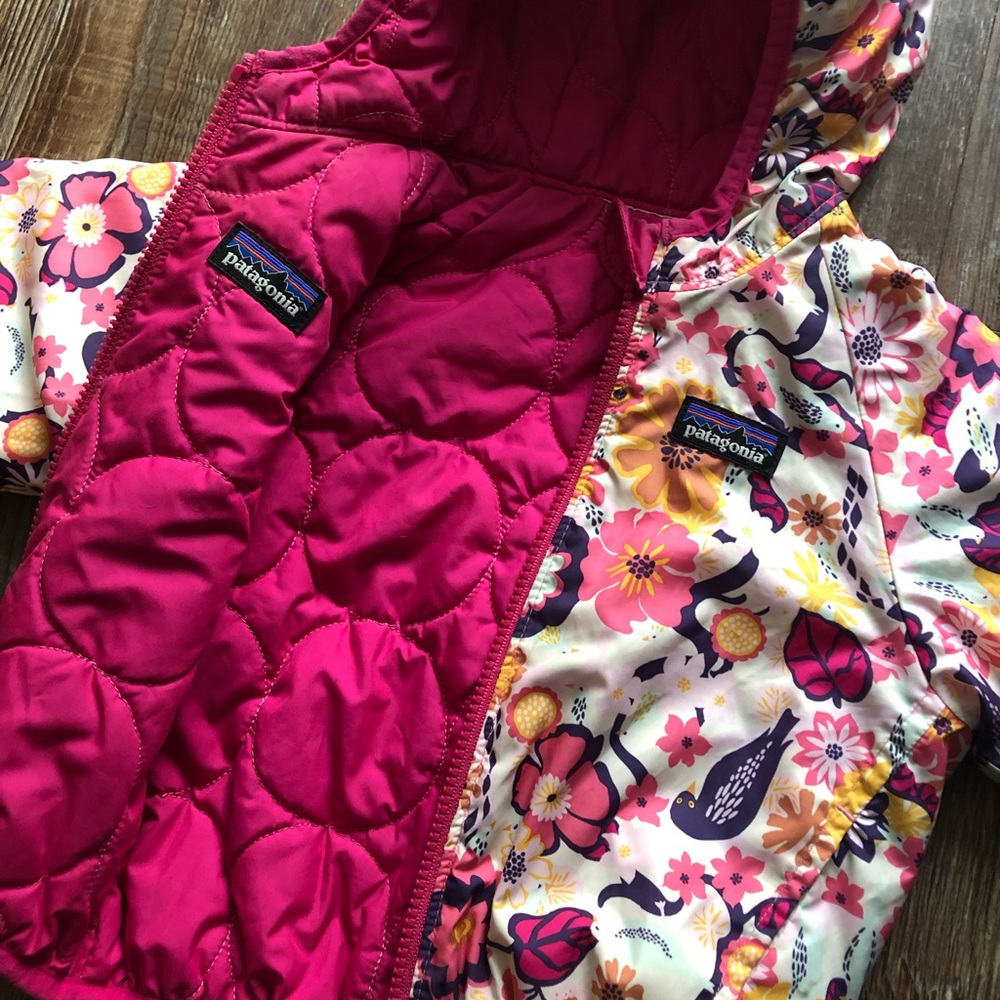 Patagonia Reversible Puff Jacket